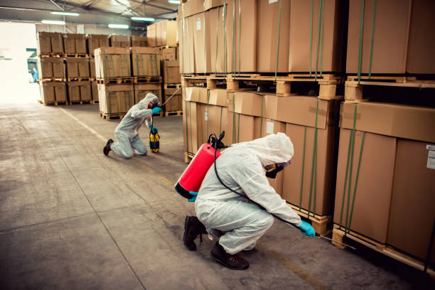 Best Pest Inspection Near Me  in Mendon, IL