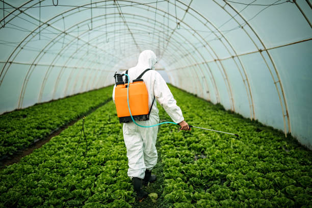 Professional Pest Control in Mendon, IL