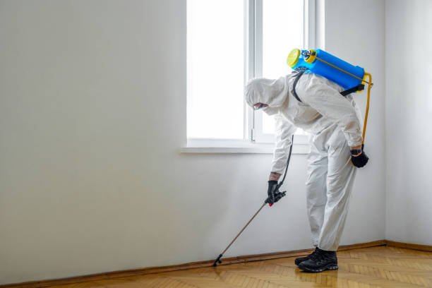 Best Local Pest Control Services  in Mendon, IL