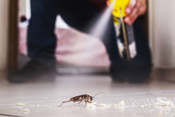 Best Emergency Pest Control  in Mendon, IL